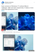 微软未发布的 Win11“Bloom”早期主题壁纸曝光：奇特的蓝色花朵